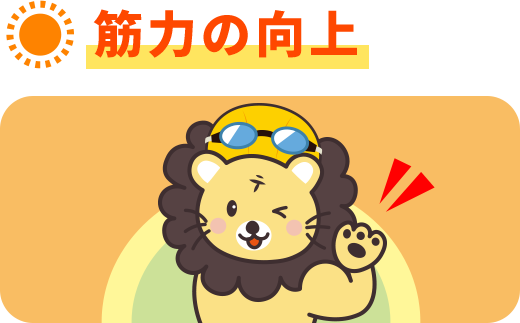 筋力の向上
